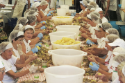 Sagra della patata, quattro giorni di sapori e festa a Montecrestese